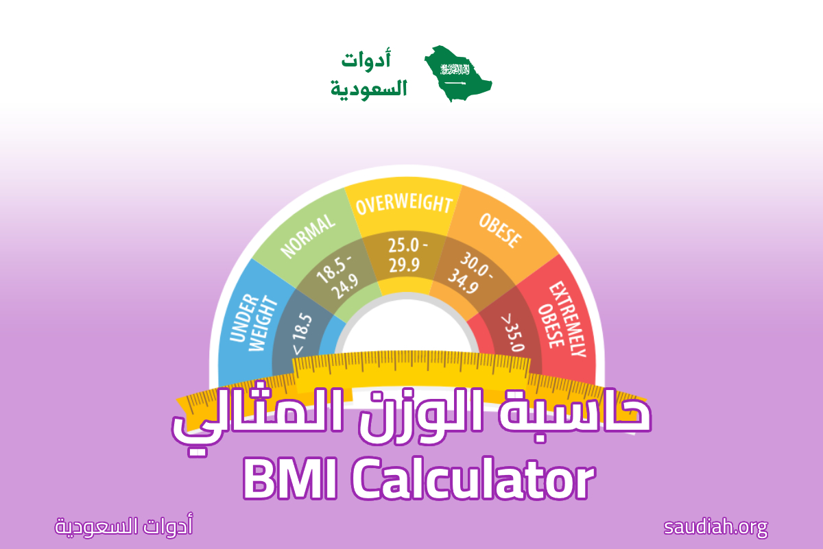  BMI 
