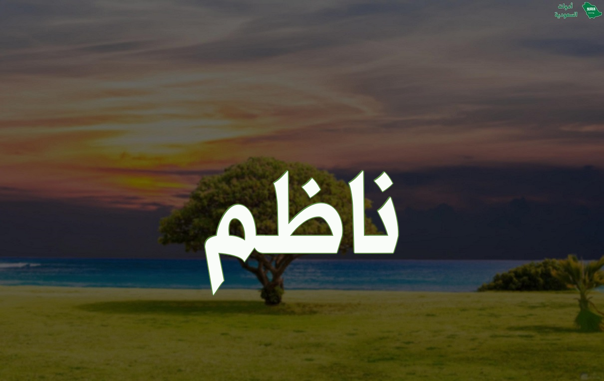 ناظم R صور اسم ناظم ومعناه وطريقة كتابته بالإنجليزية