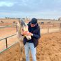 عبد الحكيم الماضي🐎