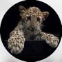 ﮼رشاش 🐆