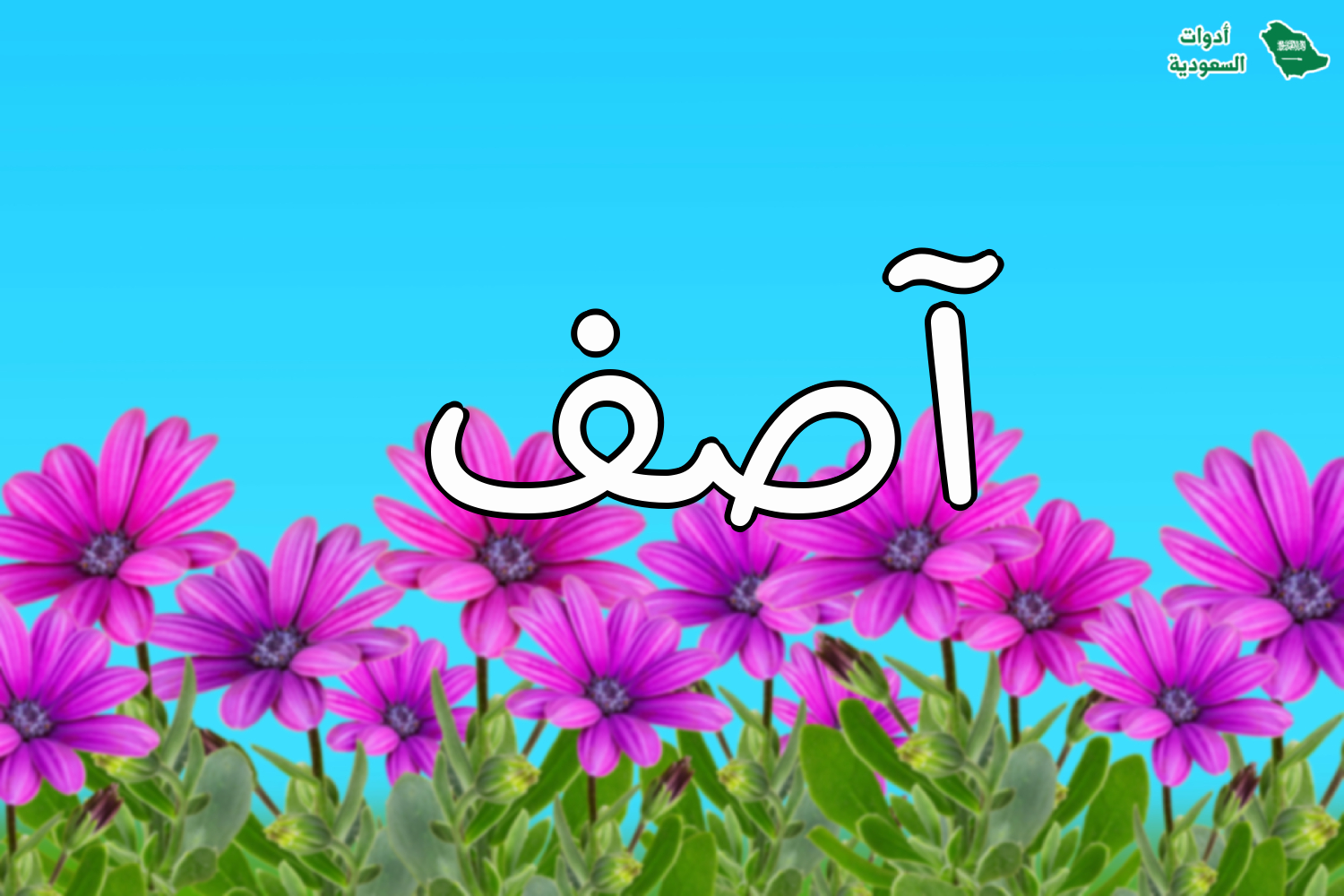 معنى اسم آصف وطريقة كتابته باللغة الإنجليزية مع مشاهير اسم آصف وصور الاسم
