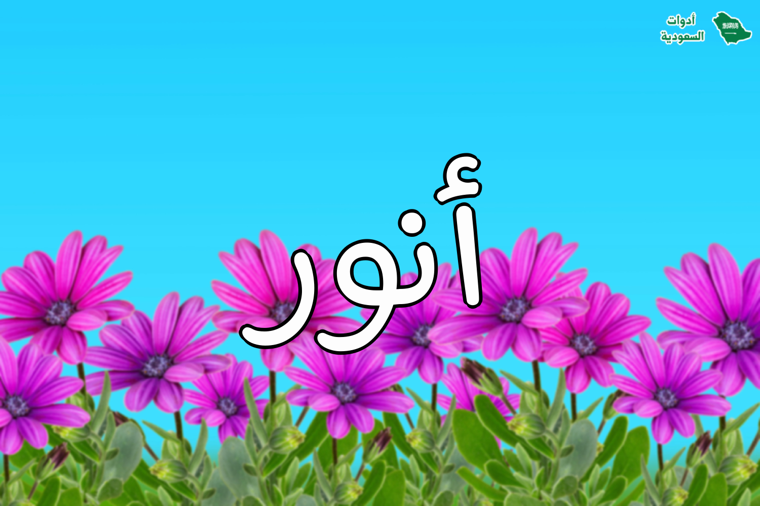 معنى اسم أنور وطريقة كتابته باللغة الإنجليزية مع مشاهير اسم أنور وصور الاسم
