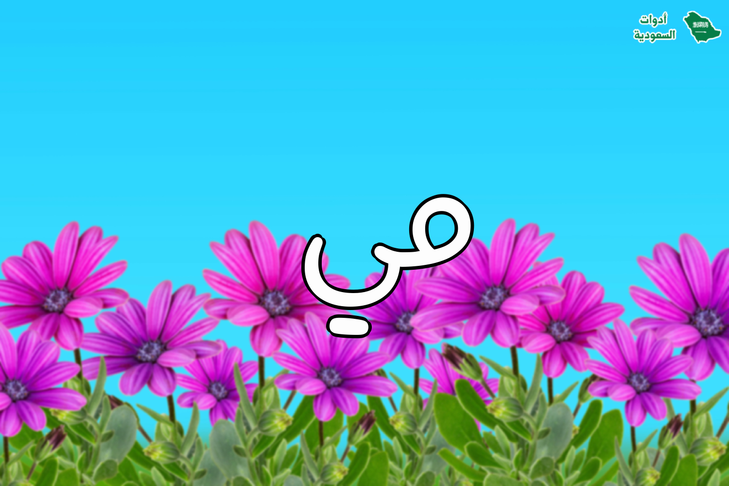 معنى اسم مي وطريقة كتابته باللغة الإنجليزية مع مشاهير اسم مي وصور الاسم