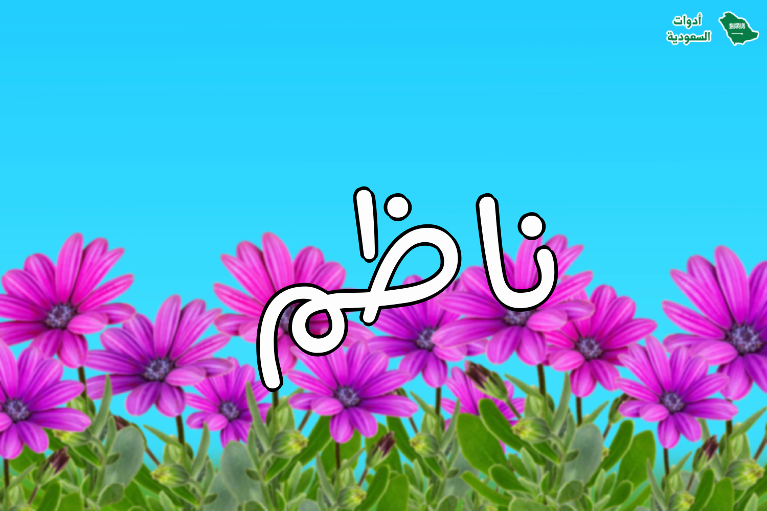 ناظم R صور اسم ناظم ومعناه وطريقة كتابته بالإنجليزية