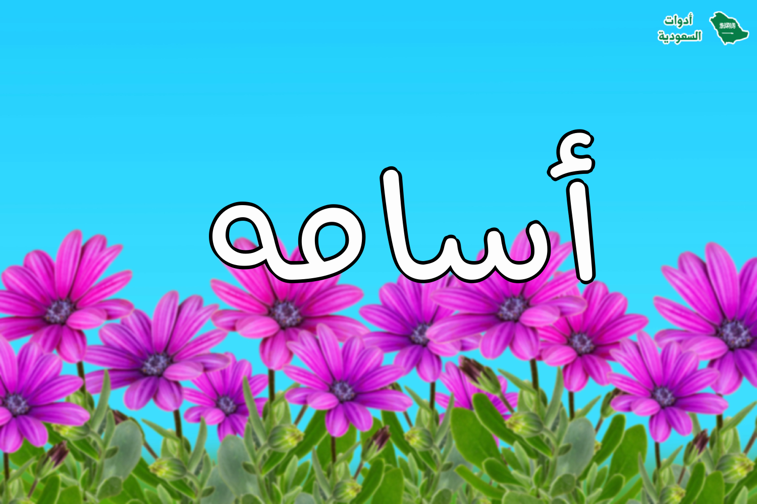 اسم أسامه على صورة ضمن خدمة اكتب اسمك على صور ورود