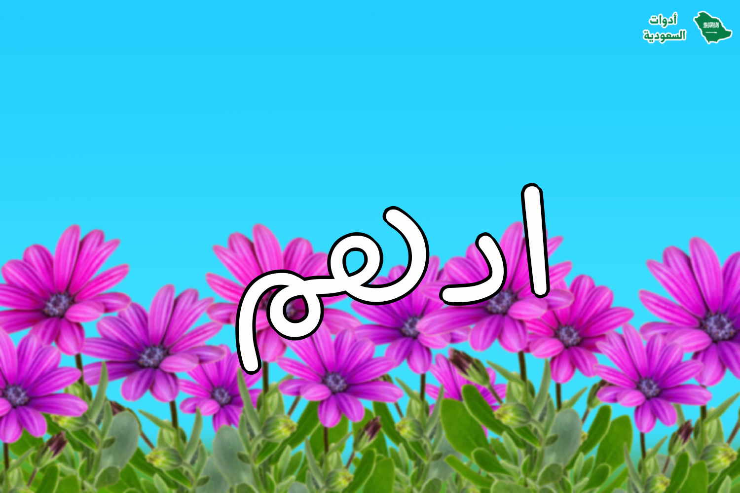 اسم ادهم على صورة ضمن خدمة اكتب اسمك على صور ورود