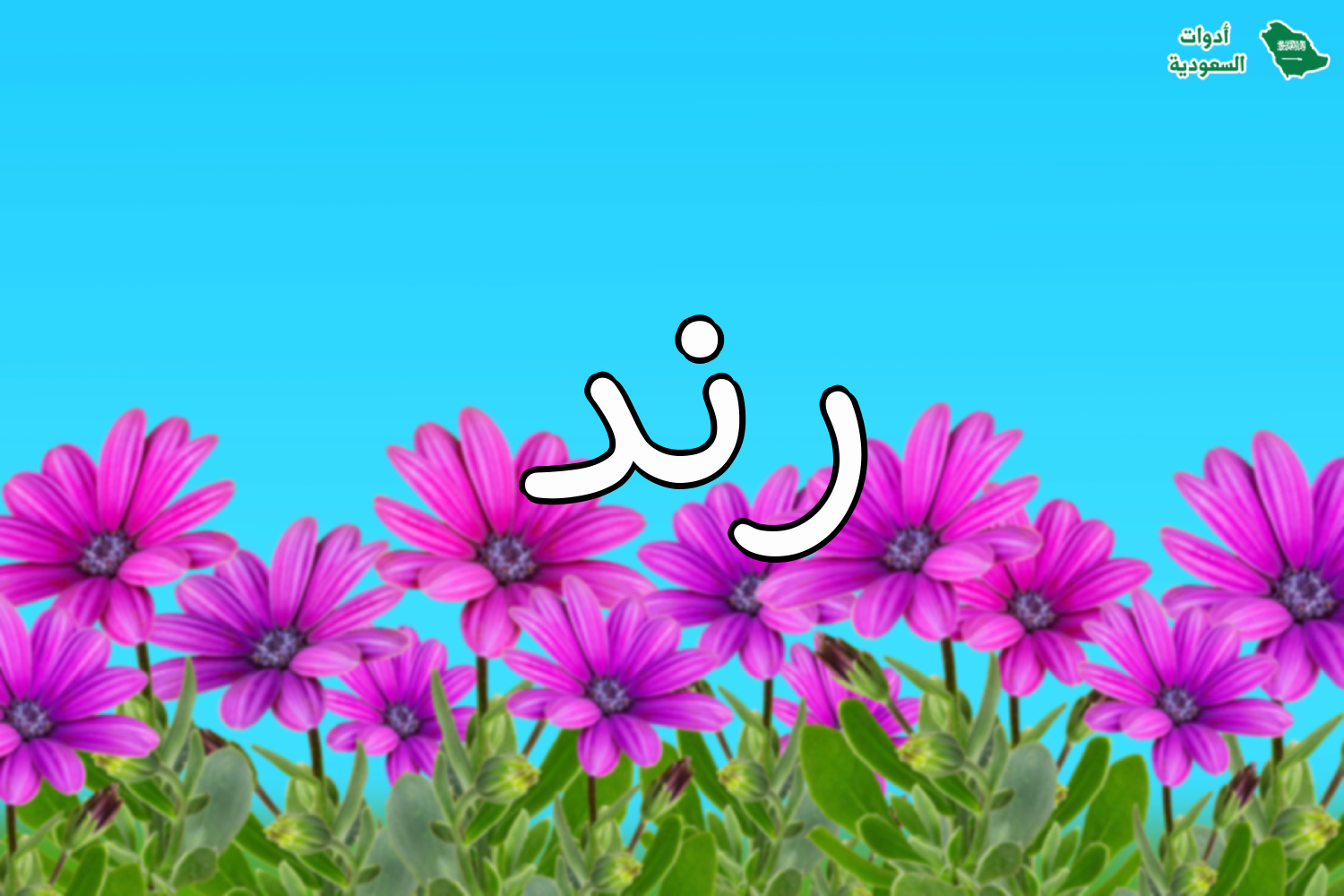 اسم رند على صورة ضمن خدمة اكتب اسمك على صور ورود