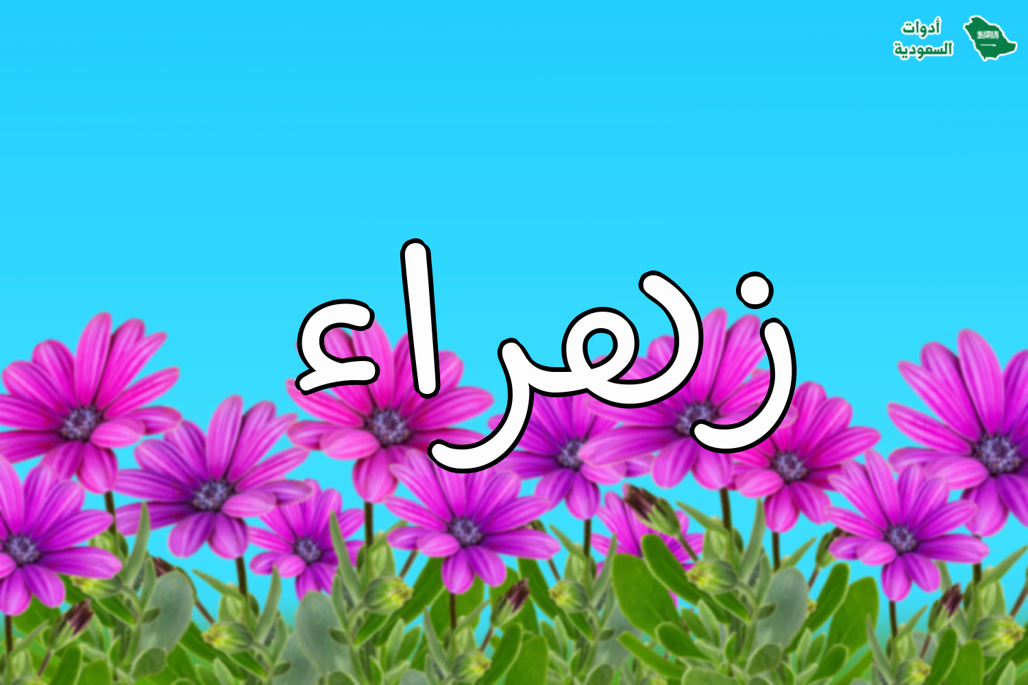 اسم زهراء على صورة ضمن خدمة اكتب اسمك على صور ورود