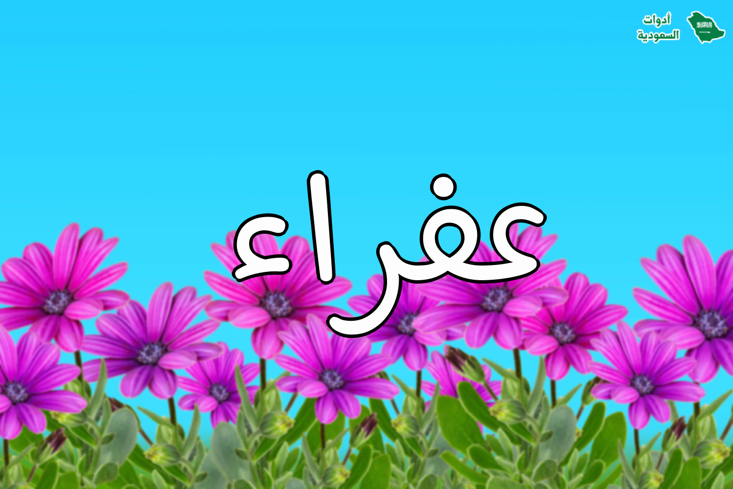 اسم عفراء على صورة ضمن خدمة اكتب اسمك على صور ورود